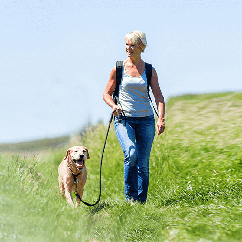 Webdesign Zaandam / Zaanstad, Project Direct, Timo van Tilburg, Snel een Webdesigner Zaandam / Zaanstad, Website laten maken Zaandam / Zaanstad, Website laten bouwen Zaandam / Zaanstad, SEO Zaandam / Zaanstad, SEA Zaandam / Zaanstad, Online Marketing Zaandam / Zaanstad, Wordpress Zaandam / Zaanstad, Zoekmachine optimalisatie Zaandam / Zaanstad